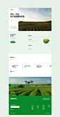 青麦X齐沃农业品牌官网建设_青麦文化_青松--3