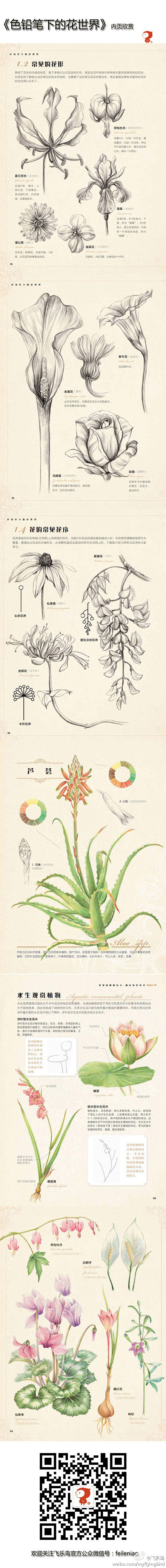 《色铅笔下的花世界》正在淘宝小店（htt...