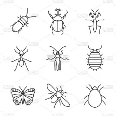 线性图标集。黑暗甲虫, 大力士虫, 螳螂, 蚂蚁, 蚱蜢, 潮, 蝴蝶, 蜜蜂, 螨。细线轮廓符号。