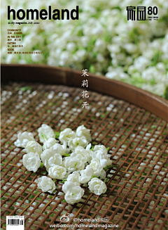桑宁采集到花花草草不言爱