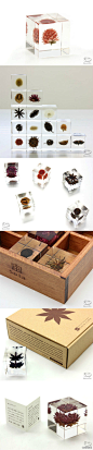 来自日本的设计师吉村紘一设计的宙（SOLA)系列，使用的全是各种植物的种子，包装盒也很漂亮。http://t.cn/hBWlMj