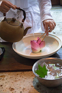 靜蝶飛舞采集到靜蝶飛舞---茶道人生