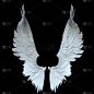 3D渲染白色幻想天使翅膀与黑色背景隔离- 3D说明