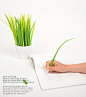 来自韩国 Zeup Design Studio 的设计，草叶笔（ Pooleaf ），每一支都是细长的一片小草，收集起若干来，往笔筒里一插，就变成了你赏心悦目的私家草原~~ #采集大赛#