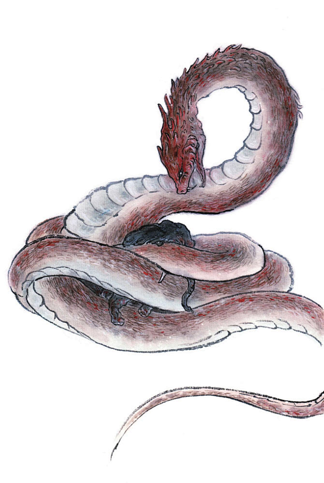 观山海卷六巴蛇