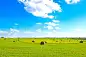 Kansas Flat Land HayStacks