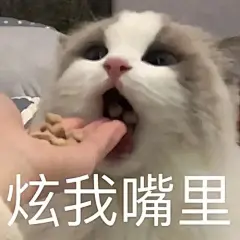 表情包|关于小猫小狗的那些事✨ - 小红书