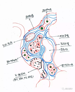 放慢镜头采集到P-平面图