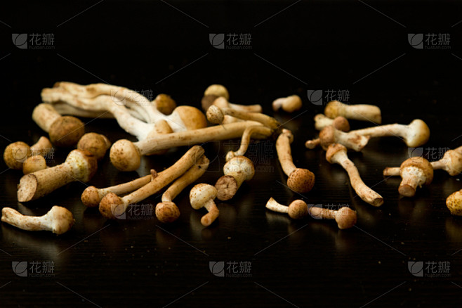 伞菌,蜂蜜,桌子,水平画幅,蘑菇,膳食,...