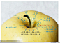 素描学习——苹果的画法 - hf35msb - 合肥三十五中美术班的博客