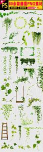 60绿色树藤树叶花藤藤蔓图片素材