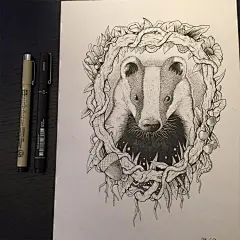 挪威插画师 Allan Ohr 一组手绘插画 ​（转）@手绘手账素材 ​​​​