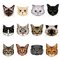 12 Cute Cat Face Window Clings by Articlings – 12 Different Breeds - Non-adhesive Stickers - Quickly Decorate and Brighten your Windows