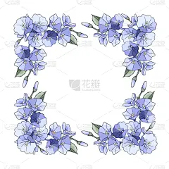 正方形,花,玫瑰,边框,结婚请柬,国境线,分离着色,叶子,白色背景,华丽的