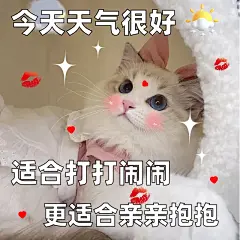 撒娇卖萌，我就是很粘人！撩老公的表情包！ - 小红书