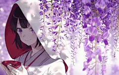 紫藤萝
