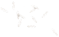  花瓣