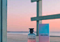 LV携手Alex Israel用香水描绘加州梦-梅花网