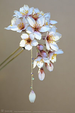 秋色凛然采集到材质（水晶花）