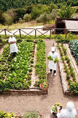 Kitchen Garden