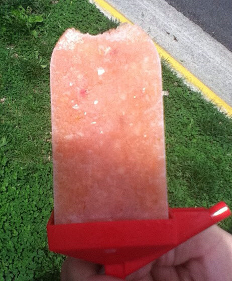 夏天，让我们来做美味又健康的鲜果棒冰

...
