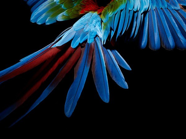 Friendly Fires - Pal...