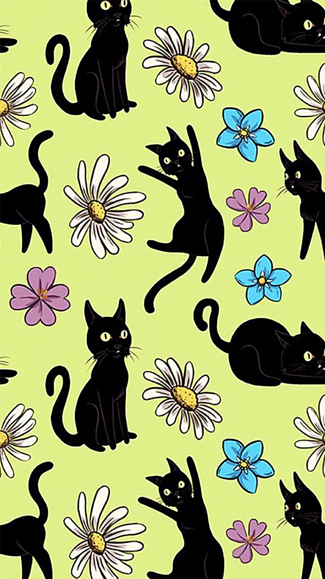 萌猫