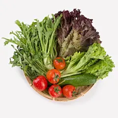 沙拉组合 400g