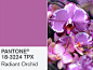 PANTONE官方公布2014年度代表色Radiant Orchid 兰花紫