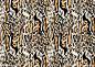 豹纹 图案 花纹 背景 豹 流行元素 布艺花型设计 PSD分层素材 源文件  PSD