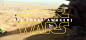 Star Wars: The Force Awakens : Creative Social posts for Star Wars: The Force Awakens