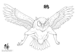 睿嘟嘟-采集到【C】花纹（国风）
