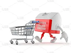 移植框字符与购物车