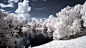 trees Norway pond infrared  / 1920x1080 Wallpaper