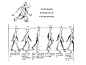 【图文】人的运动规律 动画运动规律 走路规律 走路动画 原画_百度文库