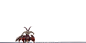 出场.gif