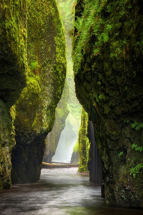 drxgonfly:

Passage ...
