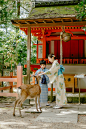 奈良city walk l日本最适合拍亲子写真地