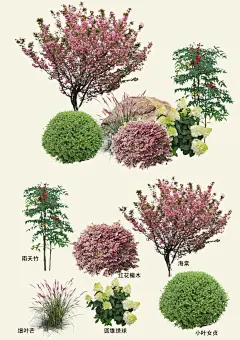 庭院植物花镜搭配分享 - 小红书