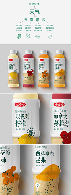 溪琳采集到包装设计