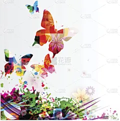 蝴蝶,背景,春天,华丽的,贺卡,浪漫,从容态度,模板,现代,色彩鲜艳