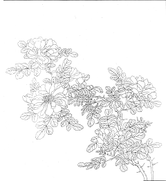 池水糖采集到国画