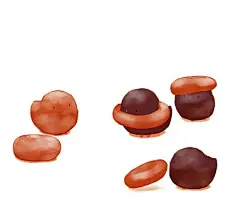 【插画】萌小鸡COS美味甜品 - 飞飞不会飞 - 琉璃角落