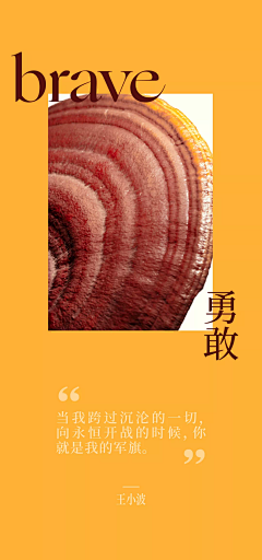 一天只能吃两个鸡蛋采集到野兽派