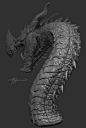 Dragon Sculpt, Adam Shaw : Dragon Made for fun in Zbrush
    Yes, Head design is based off of Laurel Austins Concept. Asked her persmission a while back to use it.