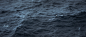 26504409
