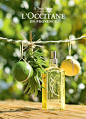 l'occitane provence france - ค้นหาด้วย Google: 