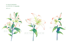 Remember9采集到动漫