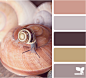 snail tones