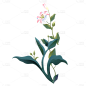 清新三八妇女节鲜花元素贴纸